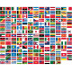 International Stock [Ships From Overseas]